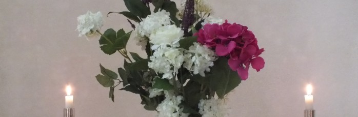 DSCF5510